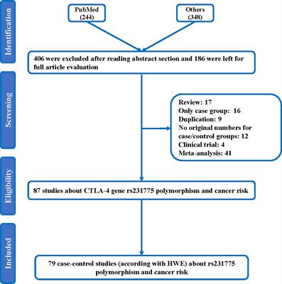 Comprehensive Analysis of 29,464 Cancer Cases and 35,858 Controls to Investigate the Effect of the Cytotoxic T-Lymphocyte Antigen 4 Gene rs231775 A/G Polymorphism on Cancer Risk